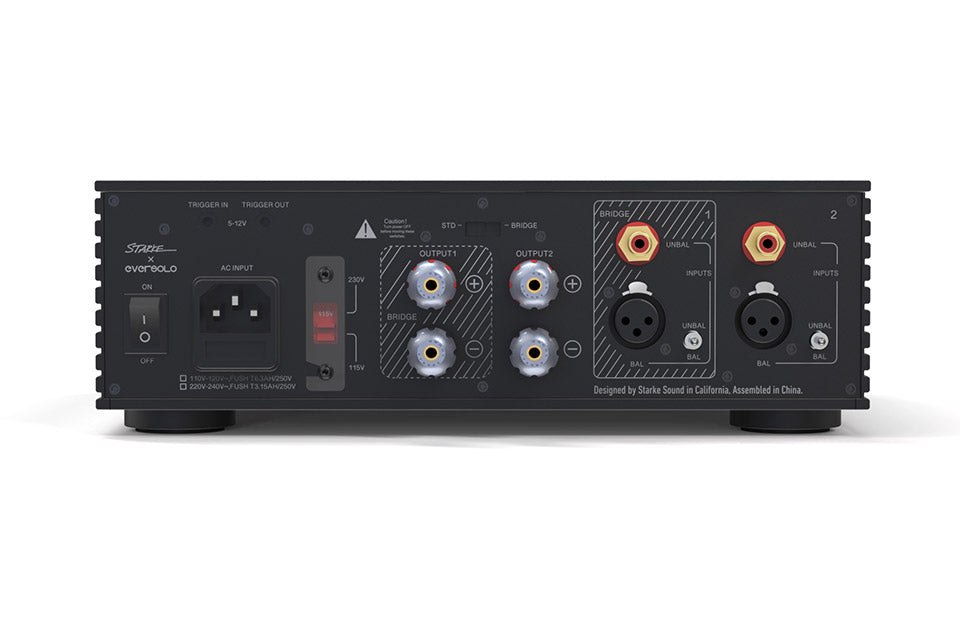 EverSolo AMPF2 Effektforstærker