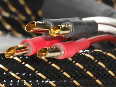 TCI King Cobra BI-WIRE Højtalerkabel - Terminering Hollow Gold 4mm