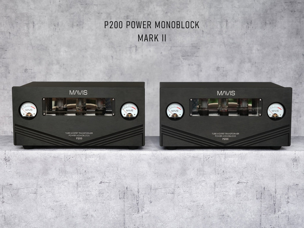 Mavis Lab P200 Power Monoblock – Mark II