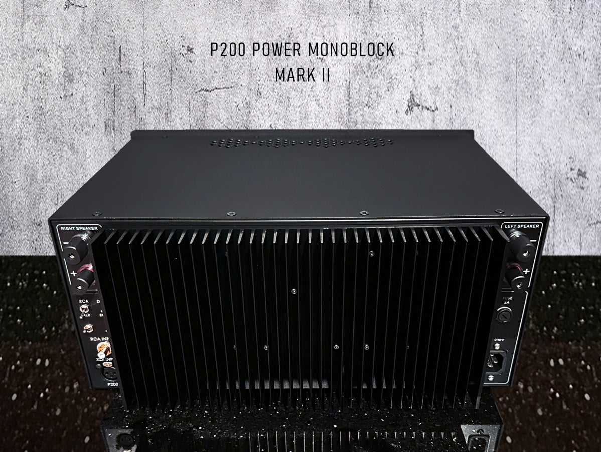 Mavis Lab P200 Power Monoblock – Mark II
