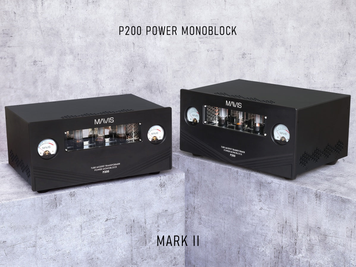 Mavis Lab P200 Power Monoblock – Mark II