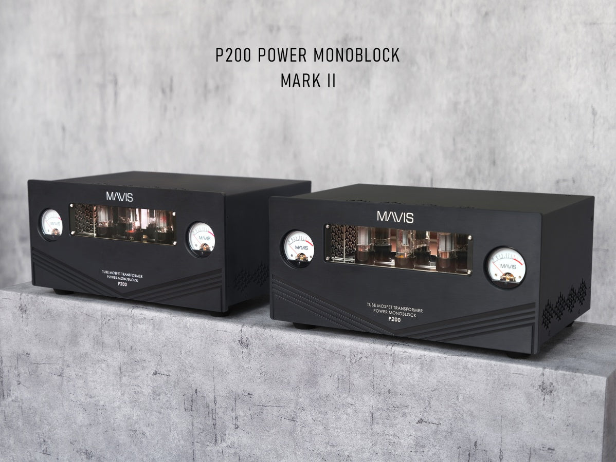 Mavis Lab P200 Power Monoblock – Mark II