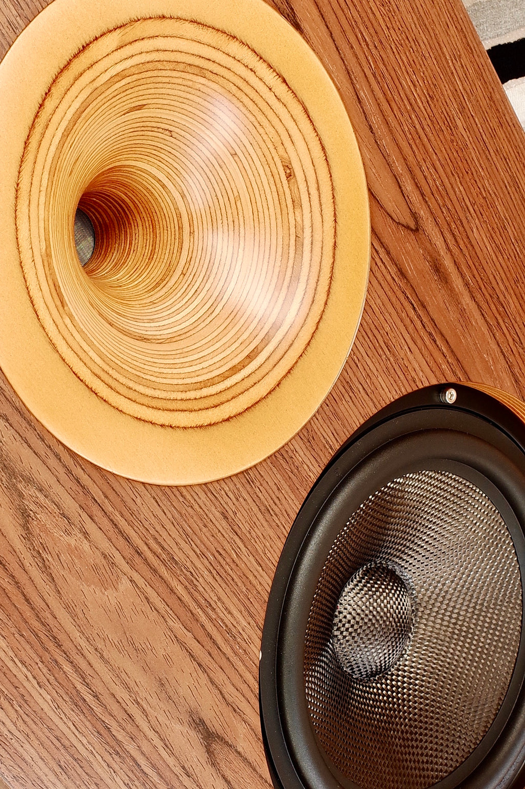 LALS Classical 8EX højtaler