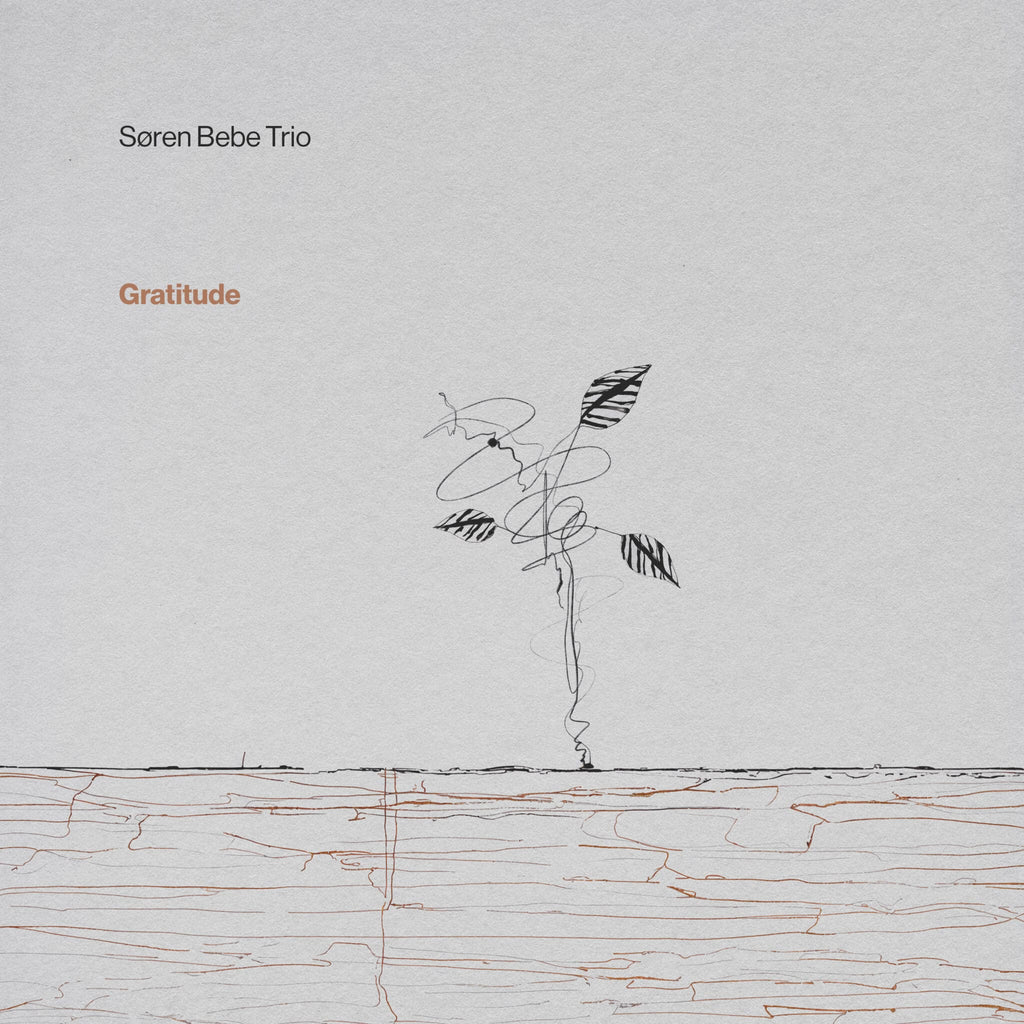 Søren Bebe Trio | Gratitude | 180g Black Vinyl