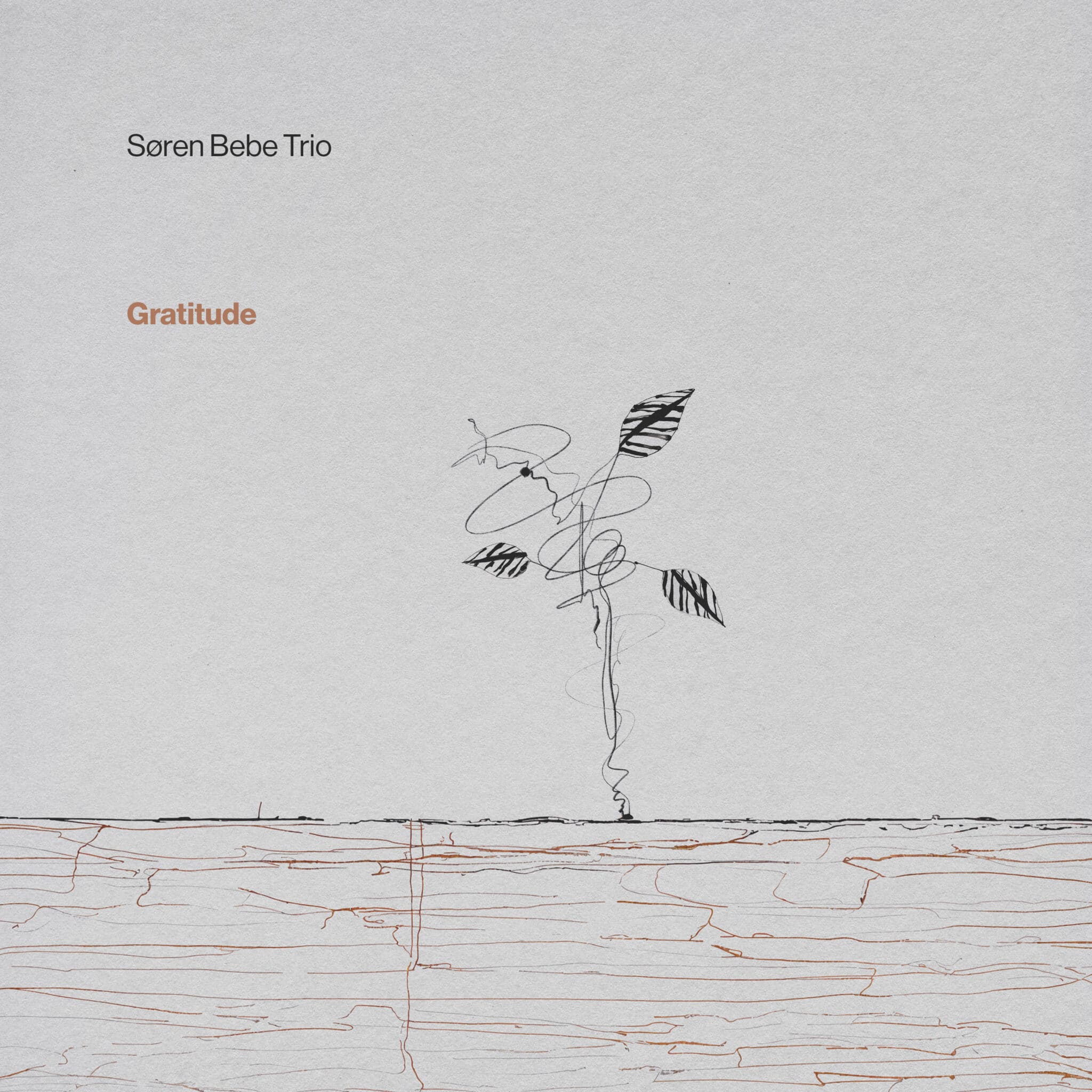 Søren Bebe Trio | Gratitude | 180g Black Vinyl