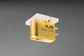 ETSURO-GOLD MC Pickup