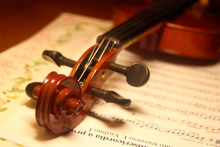 SPEC RSA-EX1000 Integreret Forstærker