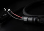 Allnic Audio  ZL-10000 Mu-Metal Højttalerkabler