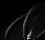 Allnic Audio  ZL-10000 Mu-Metal Højttalerkabler
