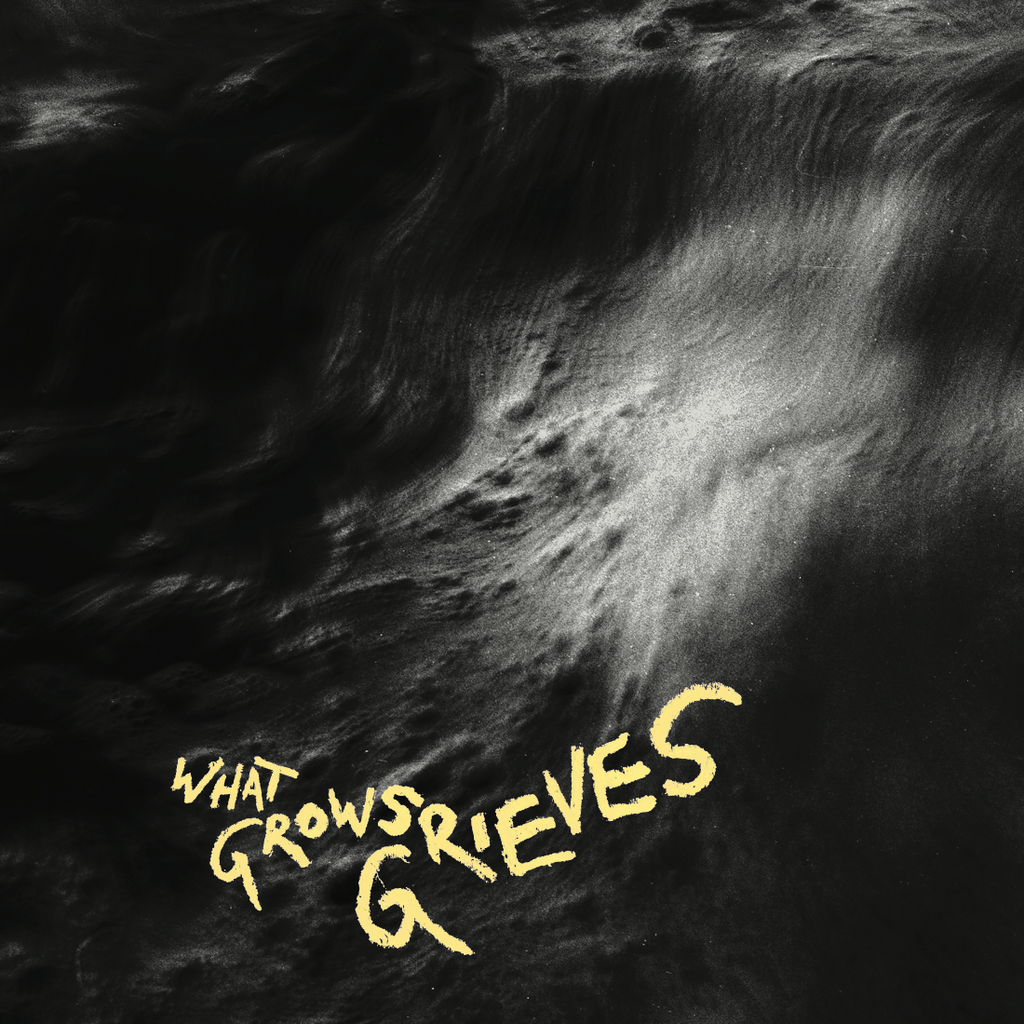 VINGBORG/VALENCIA - WHAT GROWS GRIEVES LP