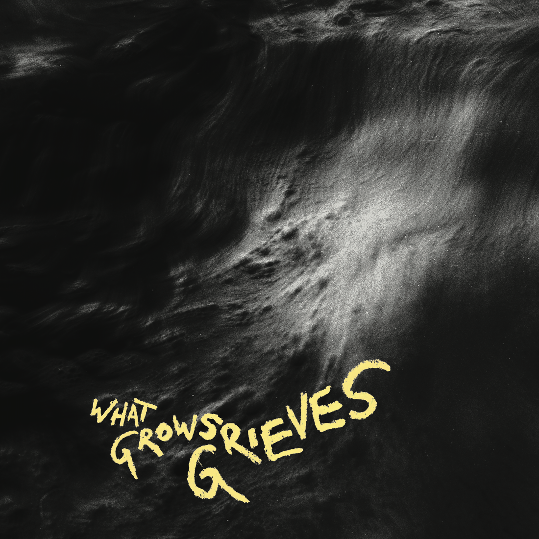 VINGBORG/VALENCIA - WHAT GROWS GRIEVES LP